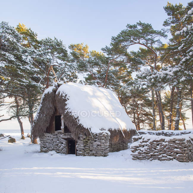 Cabaña con techo de paja cubierto de nieve - foto de stock