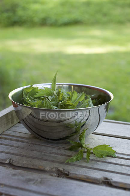 Close up shot of nettles leaves in bowl — Stock Photo