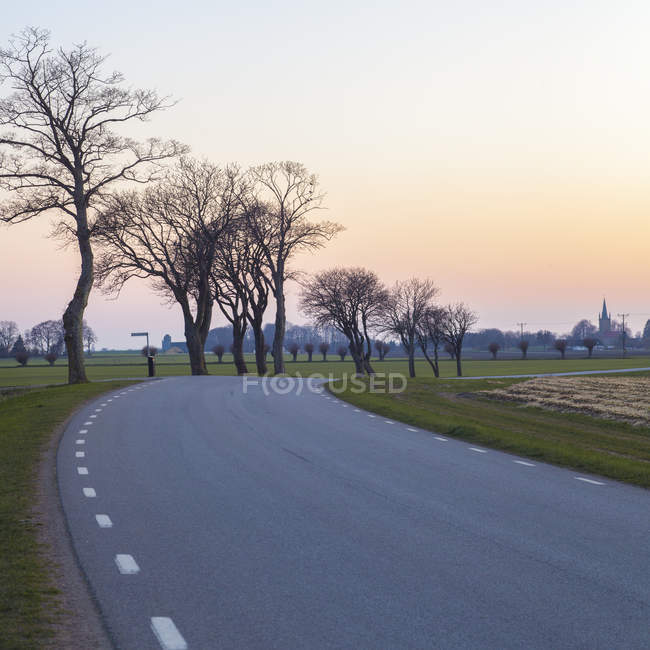 Strada in campi verdi con alberi spogli al tramonto — Foto stock