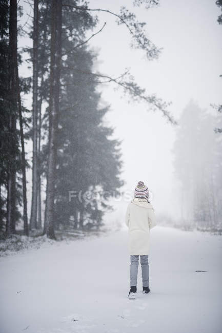 Chica en el bosque de invierno, enfoque selectivo - foto de stock
