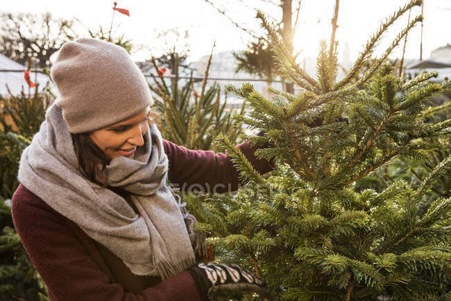 Mulher escolhendo árvore de Natal, foco em primeiro plano — Fotografia de Stock