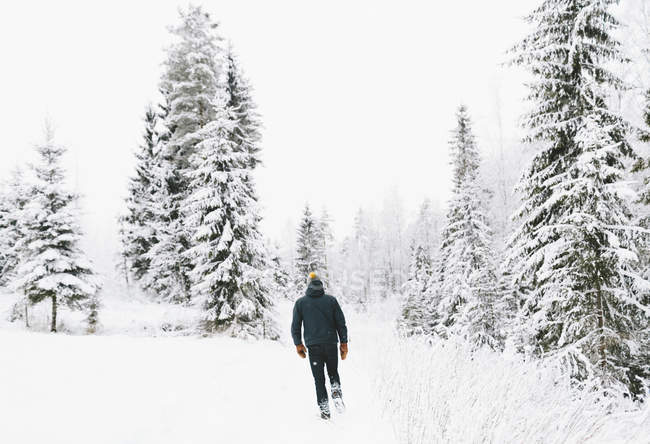 Vista trasera del hombre caminando a través de la nieve - foto de stock