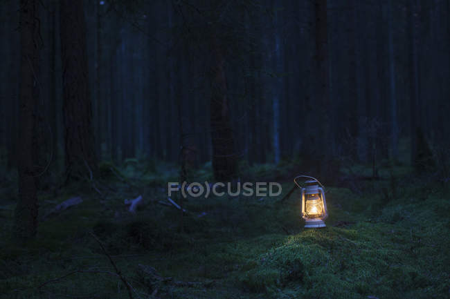 Vista panoramica della lanterna nel bosco al tramonto — Foto stock