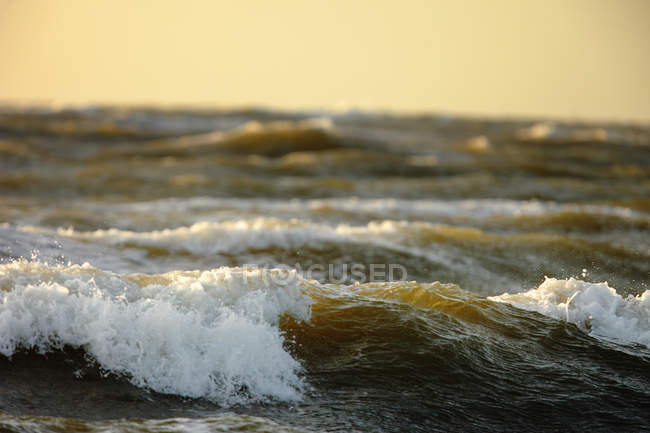 Vue de face des vagues au coucher du soleil — Photo de stock