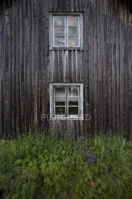 Fachada de casa de madeira velha com grama alta — Fotografia de Stock