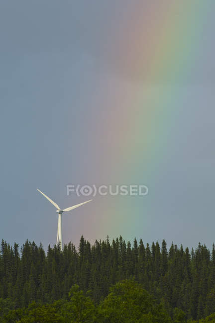 Wind turbine over forest and rainbow in sky — Stock Photo