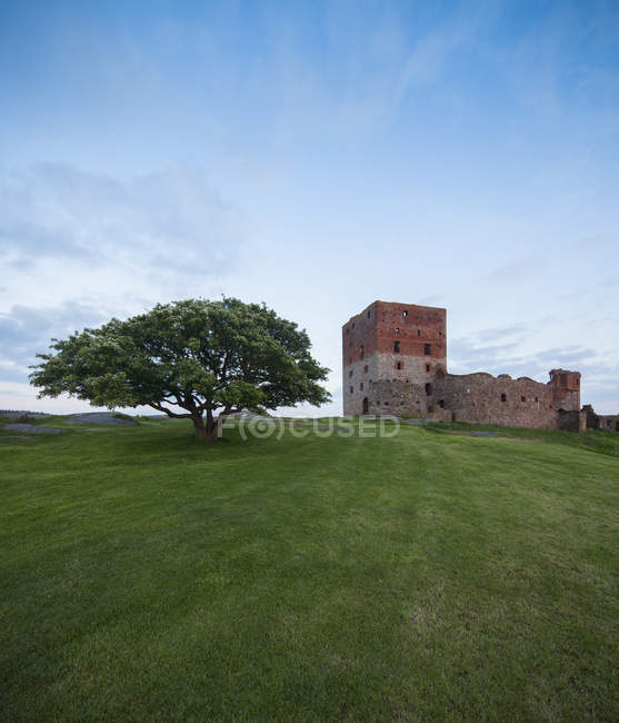 Vista da fortaleza de Hammershus com gramado verde e árvore, Bornholm — Fotografia de Stock