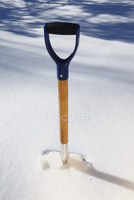View of shovel stick in snow in sunlight — Stock Photo