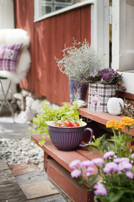 Potted plants and bowl with fresh tomatoes on front stoop — Stock Photo