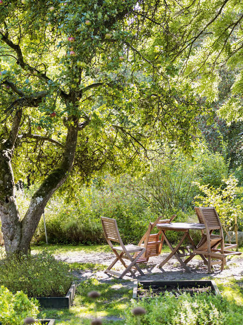 Tavolo e sedie in legno vuoti sotto l'albero — Foto stock