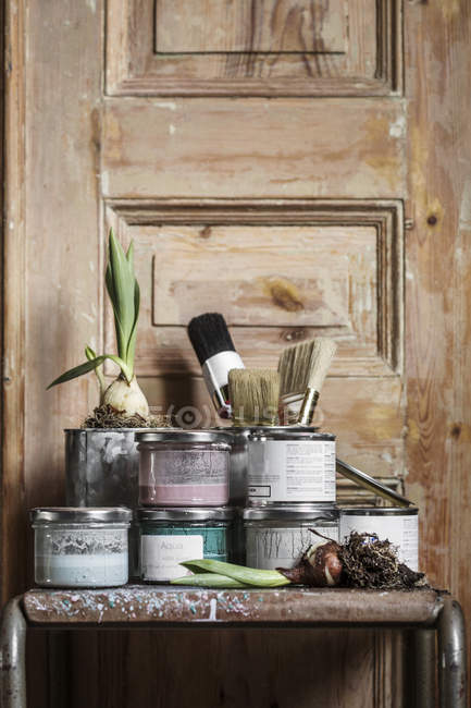 Scatole di vernice e bulbi di cipolla sul tavolo — Foto stock