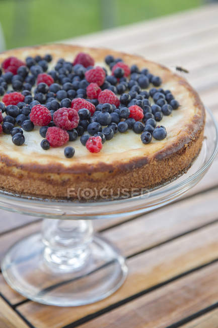 Torta fatta in casa con frutti di bosco su cakestand — Foto stock
