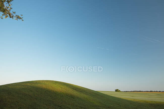 Green rolling hills under clear blue sky — Stock Photo