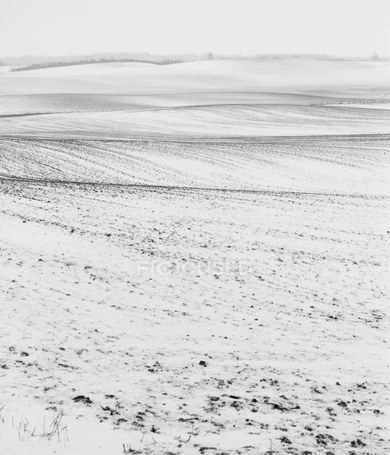 Scenic view of snow covered fields, black and white — Stock Photo