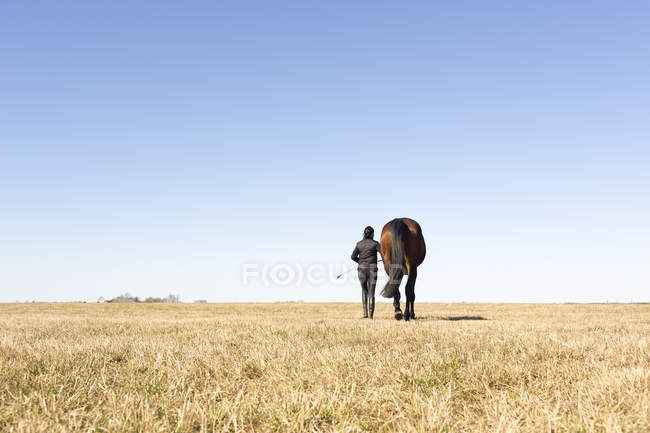 Вид ззаду жінки з конем на відкритому повітрі — стокове фото