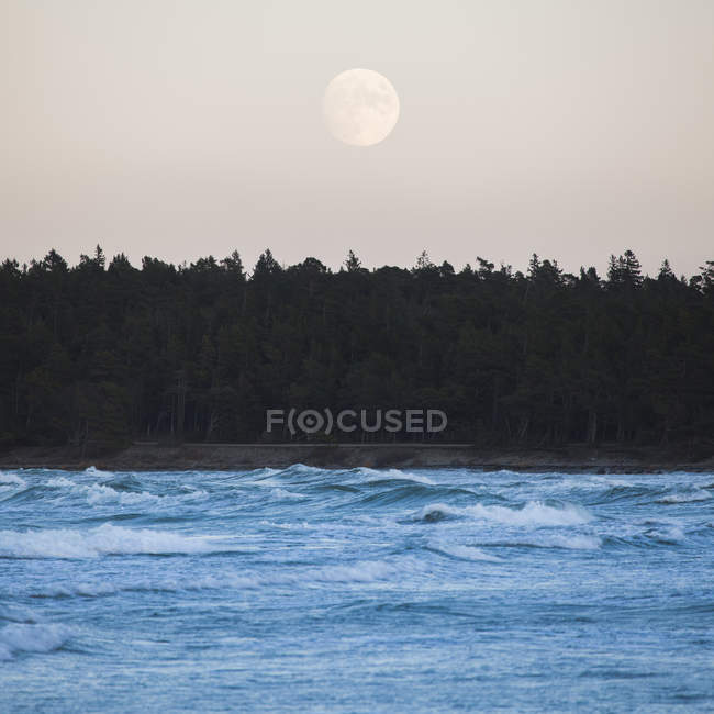 Вид спереди на луну над лесом и морем — стоковое фото