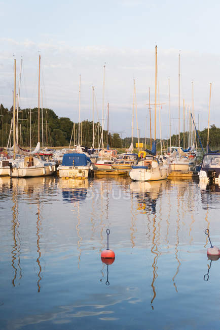 Barche a vela ormeggiate che si riflettono nell'acqua del porto — Foto stock