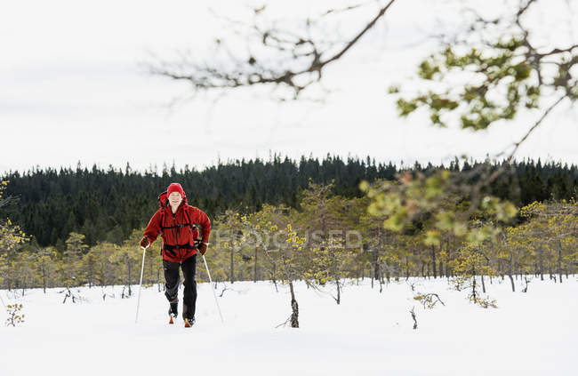 Ski homme dans la réserve naturelle de Kindla — Photo de stock