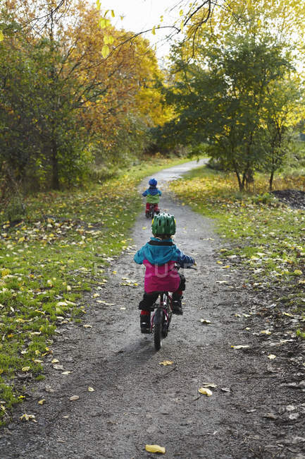 Niños en bicicleta en el parque, vista trasera - foto de stock