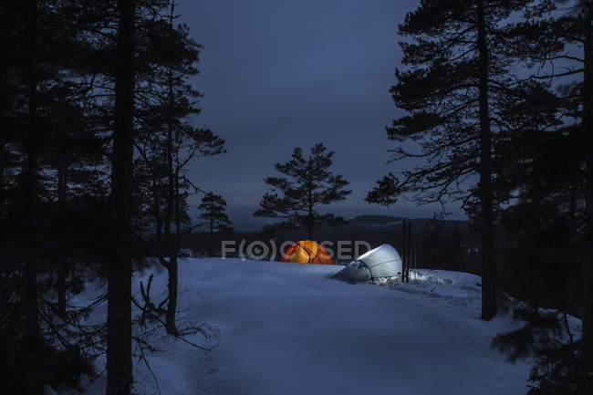 Duas tendas entre árvores à noite na reserva natural de Kindla — Fotografia de Stock