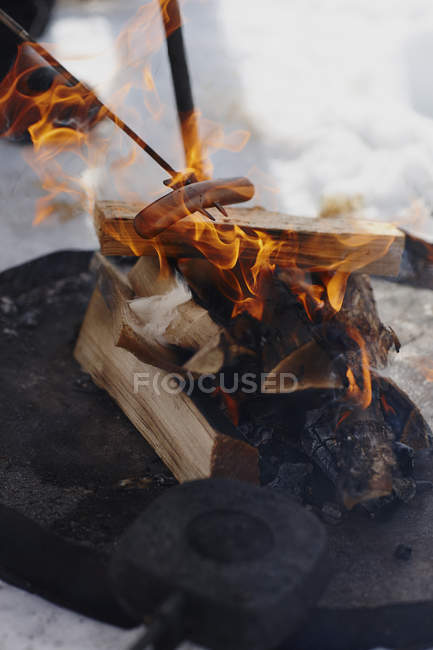 Сосиски нагреваются в огне, дифференциальная фокусировка — стоковое фото