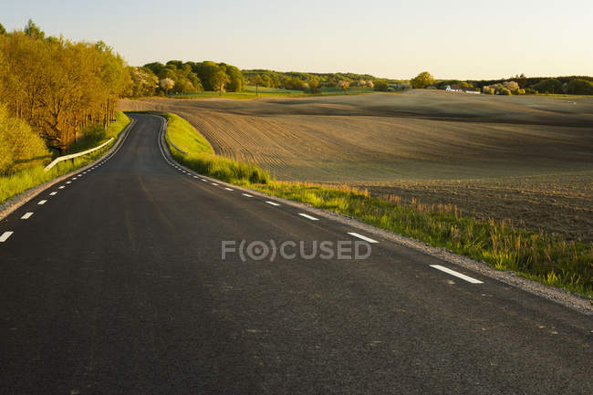 Route rurale dans un paysage verdoyant avec arbres — Photo de stock
