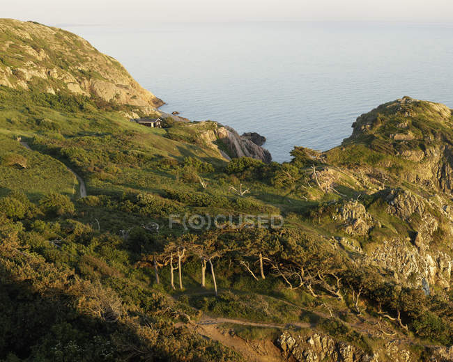 Saftig grüne Küstenhügel im Sonnenlicht — Stockfoto