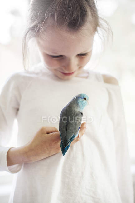 Menina segurando pássaro de estimação azul, foco diferencial — Fotografia de Stock