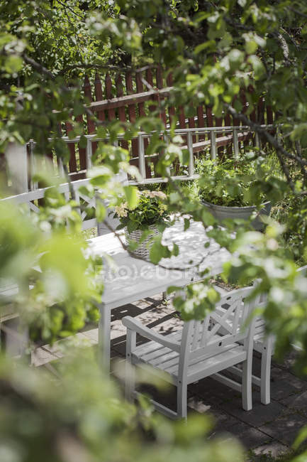 Ветви деревьев и белый стол со стульями на патио — стоковое фото