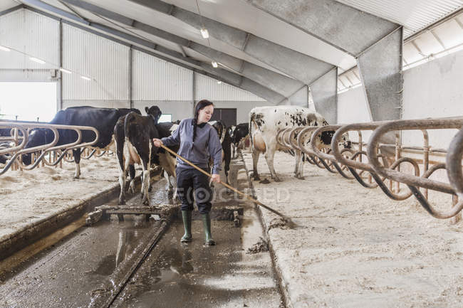 Agricultrice laitière en bottes en caoutchouc au travail — Photo de stock