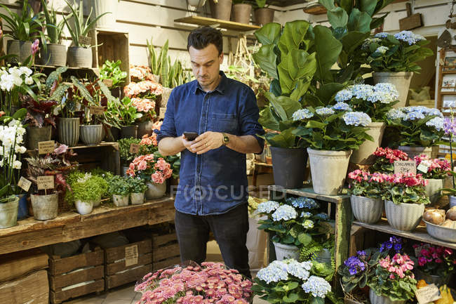 Florista usando telefone inteligente na loja de flores — Fotografia de Stock