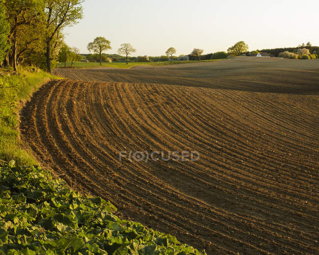 Campo agricolo dopo l'aratura alla luce del sole della sera — Foto stock