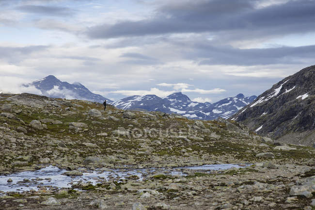 Touristin blickt auf Aussicht im Bereich Jotunheimen — Stockfoto