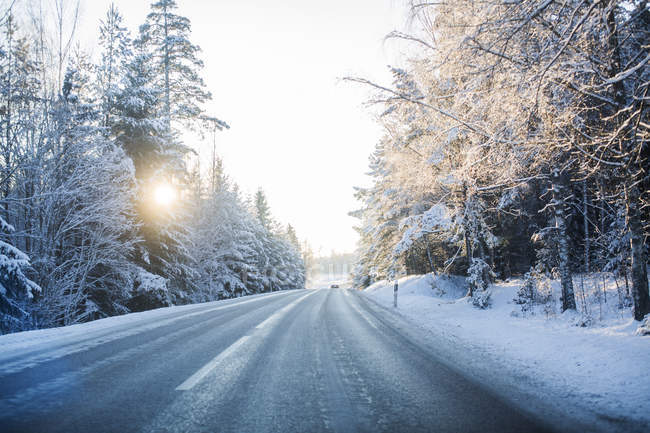 Estrada vazia cercada por árvores nevadas ao nascer do sol — Fotografia de Stock