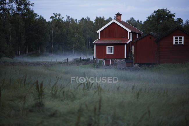 Falu rote Häuser und nebliges Feld im Morgengrauen — Stockfoto