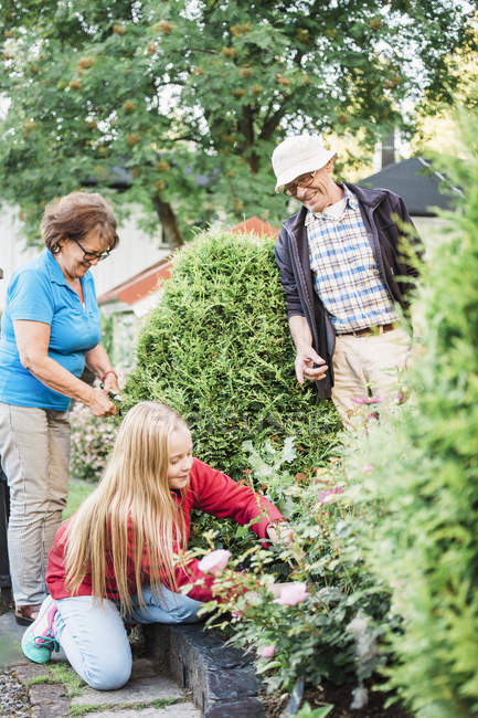 Nonni e nipoti che lavorano in giardino — Foto stock