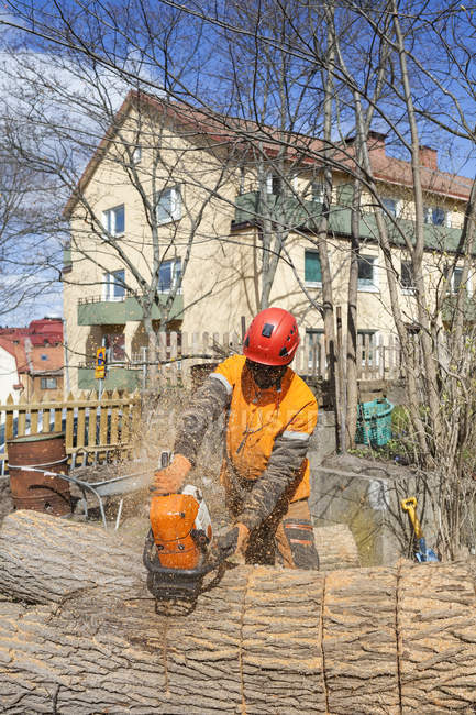 Arborist in protective workwear cutting log — Stock Photo