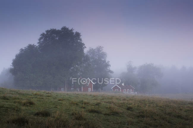 Magasin Parc national Mosse dans la brume, Europe du Nord — Photo de stock