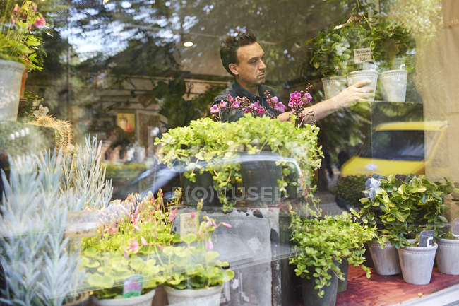 Florista trabalhando na loja de flores, foco no fundo — Fotografia de Stock