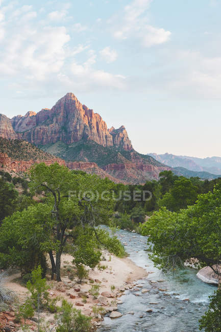 Rio rochoso em vegetação exuberante com rochas distantes — Fotografia de Stock