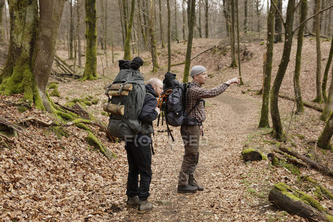 Two men hiking in autumn forest — Stock Photo