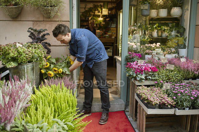 Fleuriste masculin travaillant dans un magasin de fleurs — Photo de stock