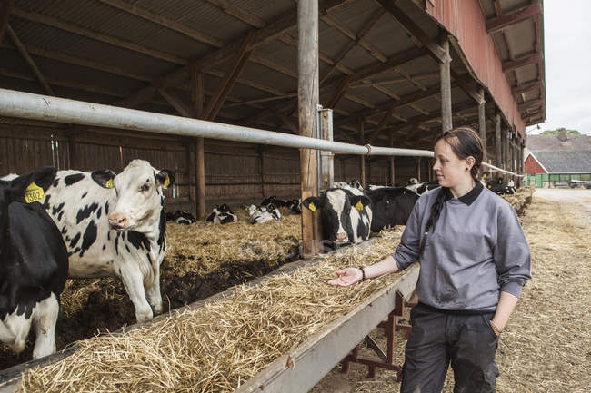 Vista lateral do agricultor leiteiro do sexo feminino no trabalho — Fotografia de Stock