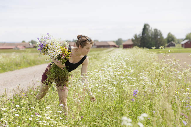 Jeune femme cueillette des fleurs sauvages dans la scène rurale — Photo de stock