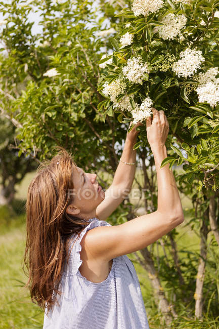 Жінка середнього віку садівництво, фокус на передньому плані — стокове фото