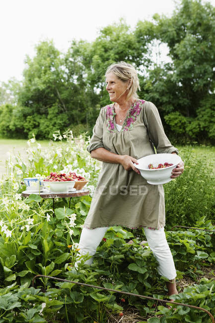 Donna che raccoglie fragole in giardino in estate — Foto stock