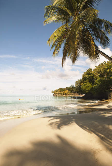 Plage tropicale en bord de mer aux Antilles — Photo de stock