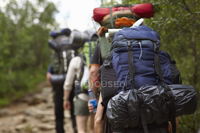 Rear view of people hiking with backpacks — Stock Photo