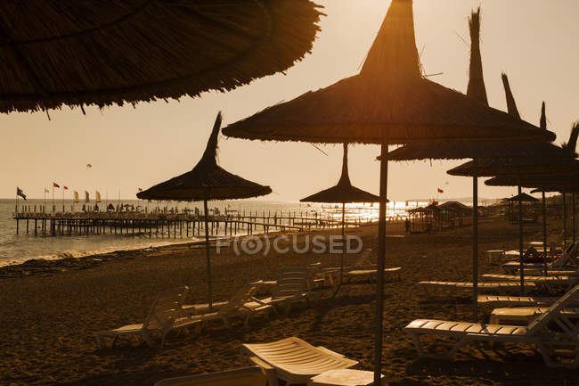 Spiaggia con ombrelloni di paglia e sdraio al tramonto — Foto stock
