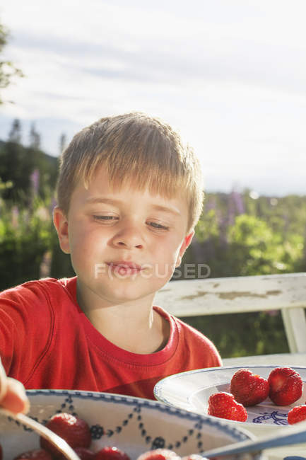 Menino comendo morangos no jardim doméstico, foco seletivo — Fotografia de Stock